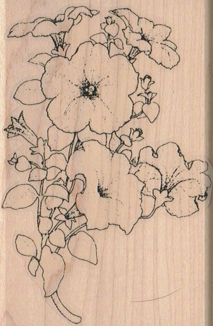 Hibiscus Galore 3 x 4 1/2