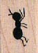 Standing Ant Small 3/4 x 3/4