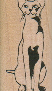 Egyptian Siamese Cat 1 1/4 x 2 1/2-0