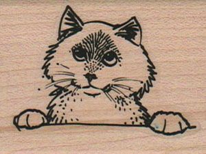 Cat Looking Up 1 3/4 x 2-0