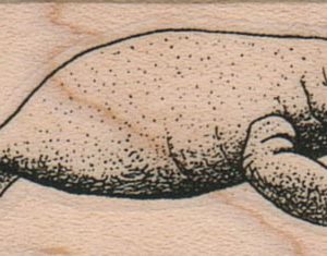 Manatee 1 x 1 3/4-0