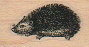 Hedgehog 3/4 x 1 1/4-0