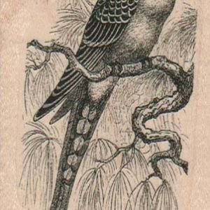 Bird On Branch 2 x 3 1/2-0