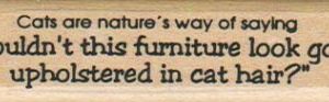 Cats Are Nature's Way Of 3/4 x 2 3/4-0