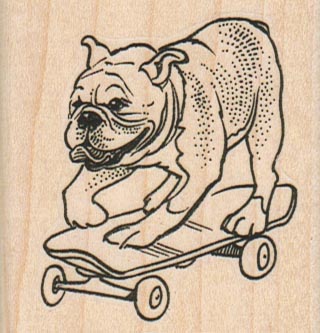 BullDog On Skateboard 2 1/4 x 2 1/4
