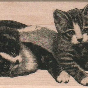 Two Kittens 2 3/4 x 5-0