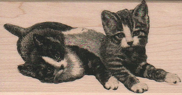 Two Kittens 2 3/4 x 5