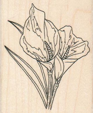 Calla Lilies 2 3/4 x 3 1/4