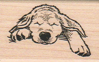 Sleeping Dog 1 1/2 x 2 1/4