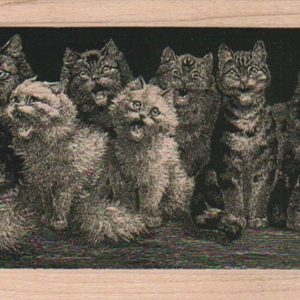Crowd O' Cats 2 1/4 x 5 1/2-0