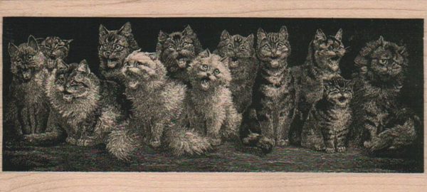 Crowd O' Cats 2 1/4 x 5 1/2-0