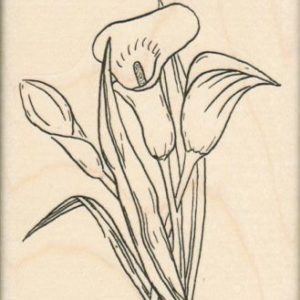 Calla Lilies 3 x 3 1/2-0