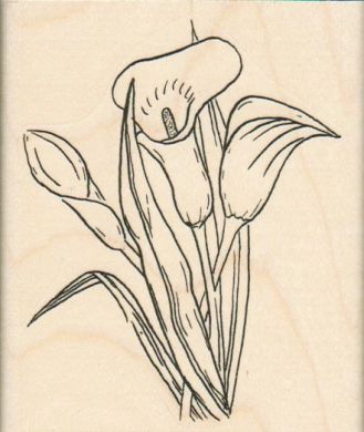 Calla Lilies 3 x 3 1/2