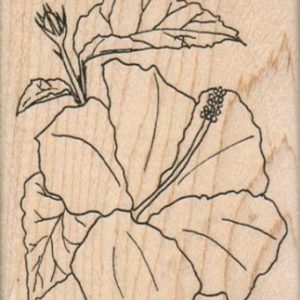 Hibiscus Flower 2 1/2 x 3-0