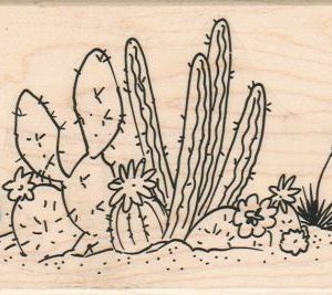 Cactus Clump 3 1/2 x 5-0