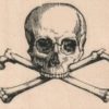 Skull & Crossbones 2 1/2 x 2-0