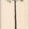 Tall Tree 1 1/2 x 3 1/4-0