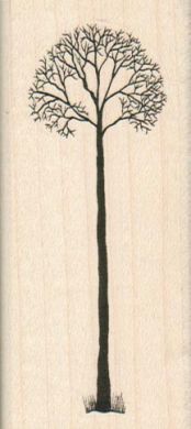 Tall Tree 1 1/2 x 3 1/4