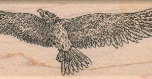 Eagle Flying 1 3/4 x 4-0