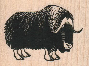 MuskOx 2 x 1 1/2