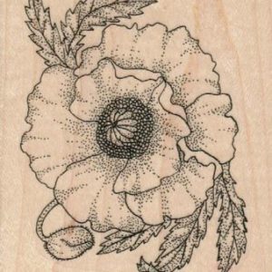 Poppy 2 1/2 x 2 3/4-0