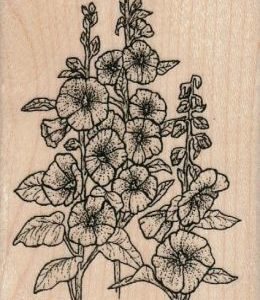 Hollyhocks 2 1/4 x 3 1/4-0