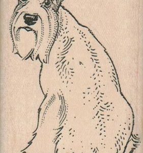 Schnauzer Back 2 x 3 1/4-0
