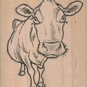 Bossie Cow 2 1/4 x 2 3/4-0