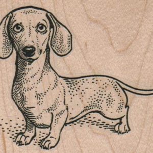 Wiener Dog 3 1/4 x 2 1/2-0