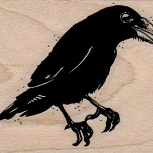 Raven 2 1/4 x 2 1/2-0