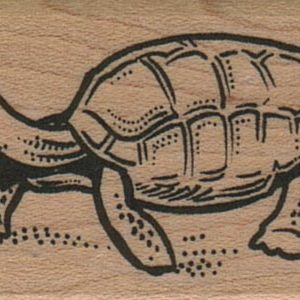 Turtle 1 1/4 x 1 3/4-0
