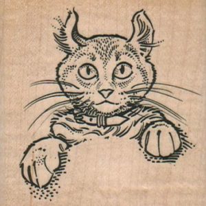 Cat With Collar 2 1/2 x 2 1/2-0
