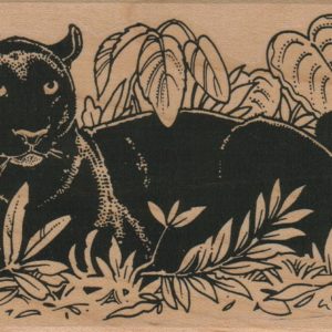 Panther in Plants/Large 3 x 5-0