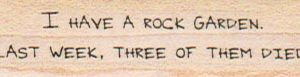 I Have A Rock Garden 3/4 x 2 1/4-0
