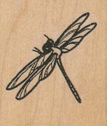 DragonFly 1 1/2 x 1 3/4-0