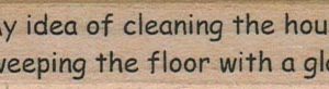 My Idea Of Cleaning The House 3/4 x 3-0