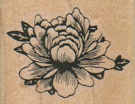 Rose in Bloom 2 x 1 1/2-0