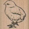 Chick Standing 1 x 1 1/4-0