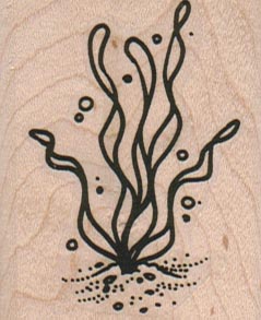 Water Plant 1 3/4 x 2-0