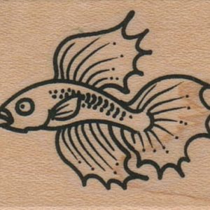 Siamese Fighting Fish 1 1/2 x 1 3/4-0