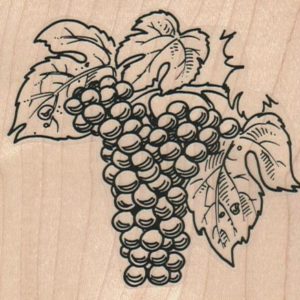 Grapes And Leaves 3 1/4 x 3-0