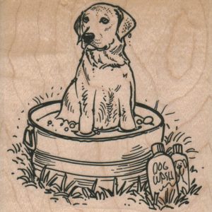 Labrador Retriever Dog Bath 3 x 3-0