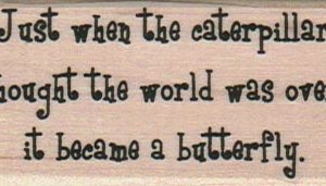 Just When The Caterpillar 1 1/4 x 2 1/2-0