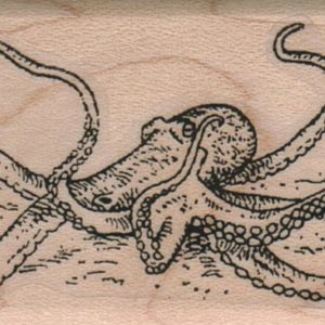 Octopus Squid 1 1/2 x 2 1/2-0