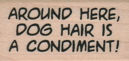 Around Here, Dog Hair 1 x 1 3/4
