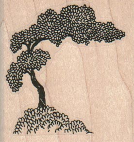 Bonsai Tree 2 x 2