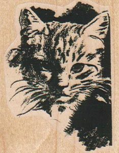 Cat Face 1 3/4 x 2 1/2-0