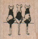 Three Cat Backs 1 x 1