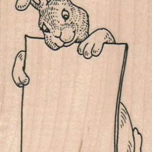 Bunny With Board 2 1/4 x 3 1/4-0