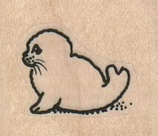 Baby Seal Side 1 1/4 x 1